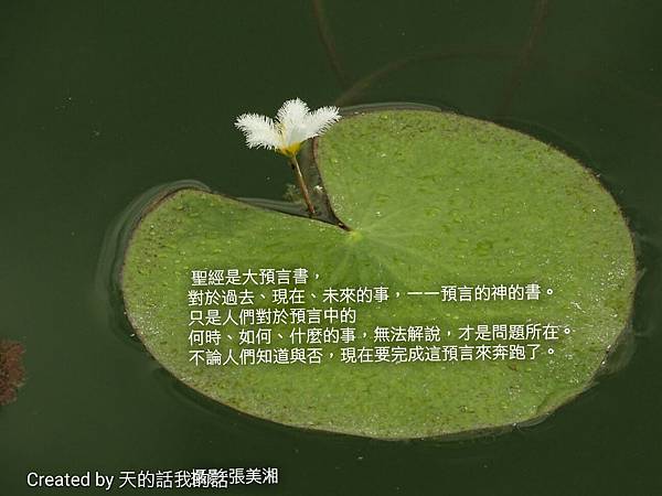 r_1457910818410_proverb