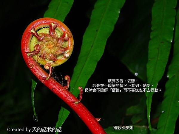 r_1459721162743_proverb