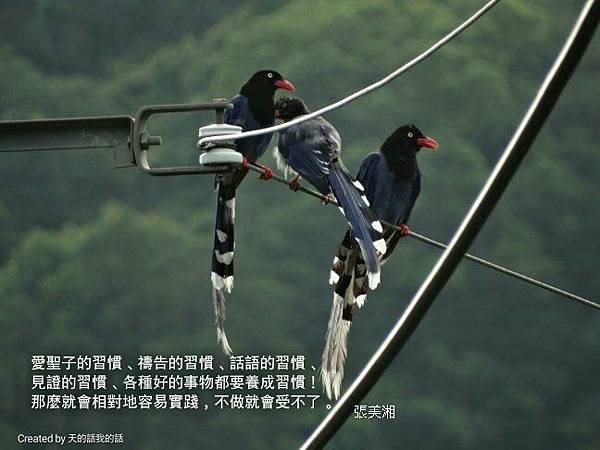 edited_r_1445289432125_proverb