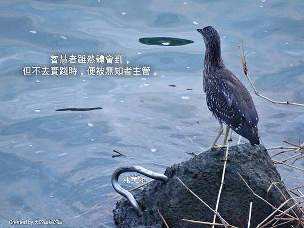 edited_r_1444686954990_proverb