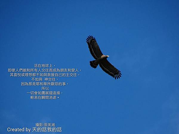 r_1460331098286_proverb