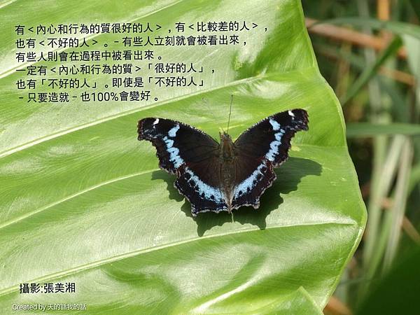 r_1448446559445_proverb