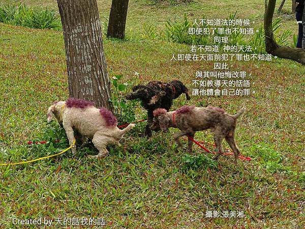 r_1460642025043_proverb