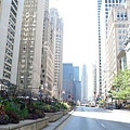 The Magnificent Mile