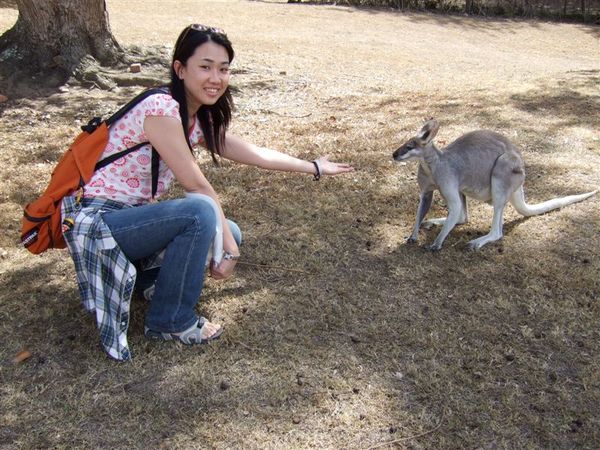 PP and Kangaroo