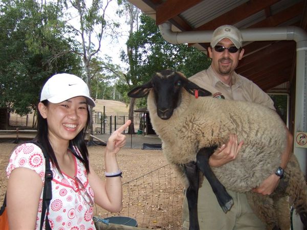 PP & Zoo staff & sheep