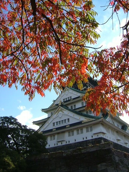 大阪城﹣之紅葉相伴
