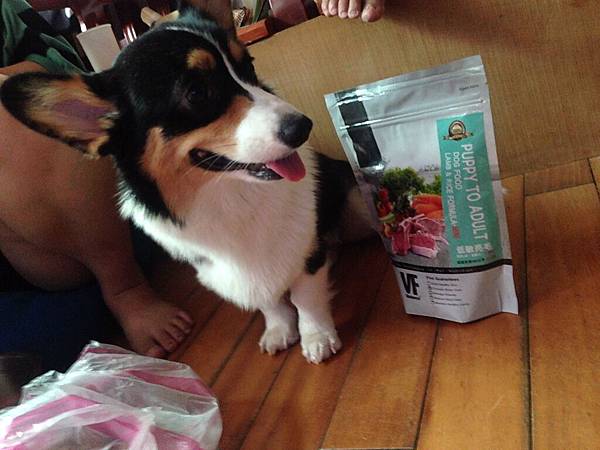 IMG_6044.JPG IMG_6044.JPG