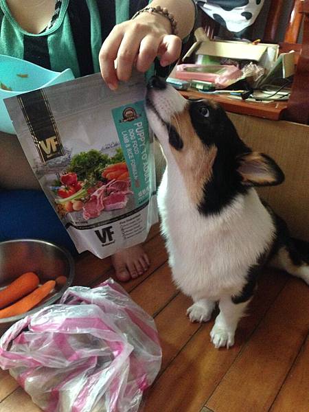 IMG_6046.JPG IMG_6046.JPG