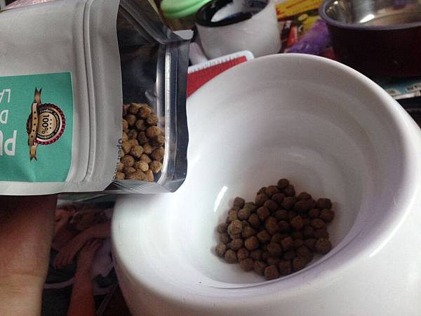 IMG_6055.JPG IMG_6055.JPG