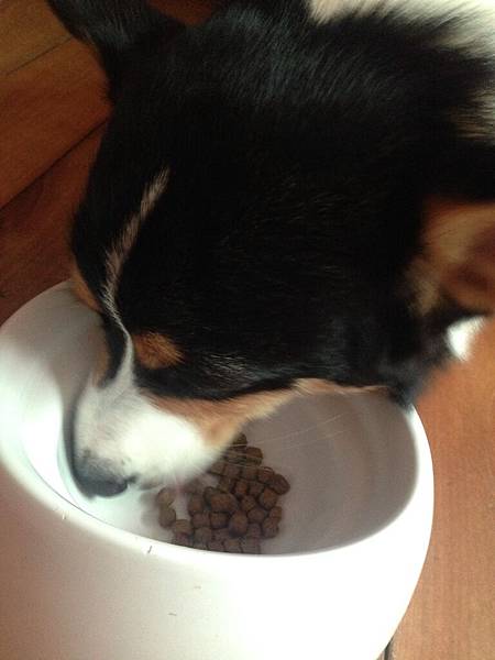 IMG_6061.JPG IMG_6061.JPG