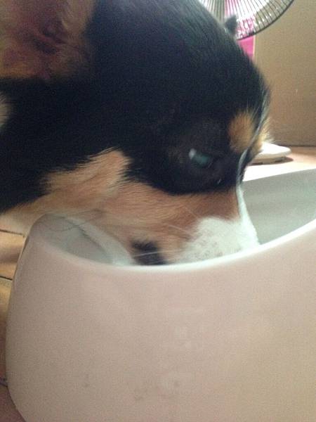 IMG_6065.JPG IMG_6065.JPG