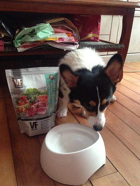 IMG_6077.JPG IMG_6077.JPG