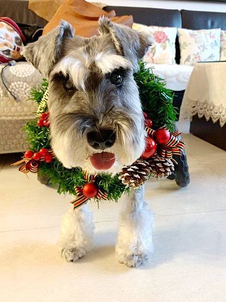 士林 郭小姐2 士林 郭小姐2