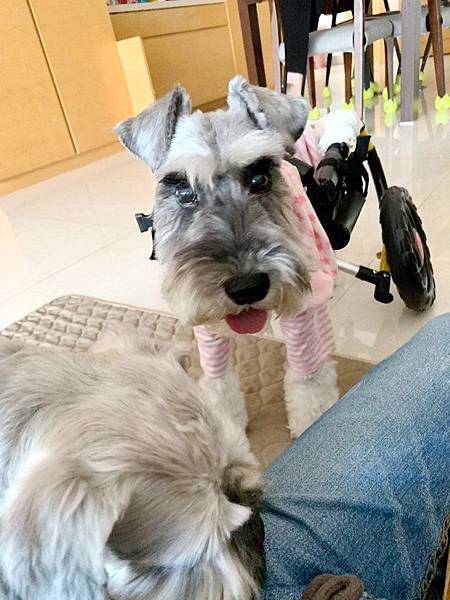 士林 郭小姐3 士林 郭小姐3