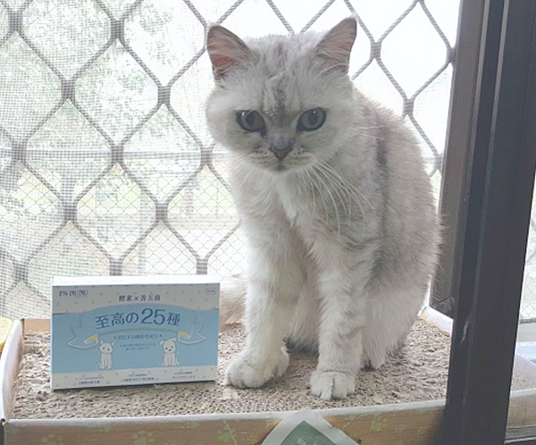 【真實分享】老貓QQ吃酵素益生菌(便便、幫助消化) 【真實分享】老貓QQ吃酵素益生菌(便便、幫助消化)