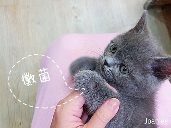 喬小安2 喬小安2