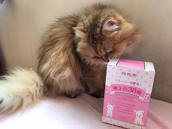 【真實分享】貓胃口不好:優果吃超級黑酵母(老貓照護、促進食慾 【真實分享】貓胃口不好:優果吃超級黑酵母(老貓照護、促進食慾