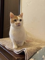 337876173_1954638954887923_582986229064879964_n拷貝 337876173_1954638954887923_582986229064879964_n拷貝