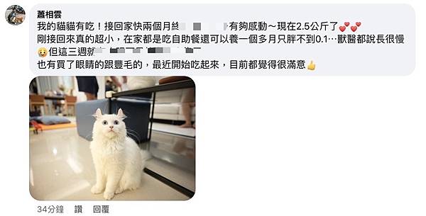 改善貓營養不良 瘦小 的寵力沛評價