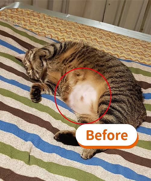 一般圖壓上見證照-07 一般圖壓上見證照-07