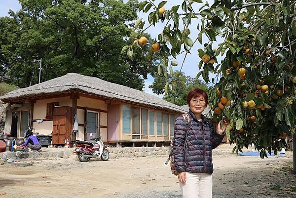 釜山之旅 - 彷彿世外桃源的慶州良洞村（경주양동마을）