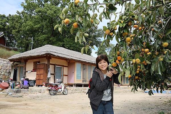 釜山之旅 - 彷彿世外桃源的慶州良洞村(경주양동마을) 釜山之旅 - 彷彿世外桃源的慶州良洞村(경주양동마을)