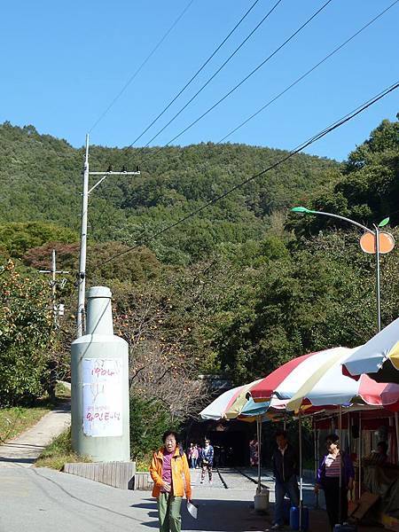 釜山之旅 - 漫遊酒鄉【大邱清道郡柿子酒莊(WINE Tun