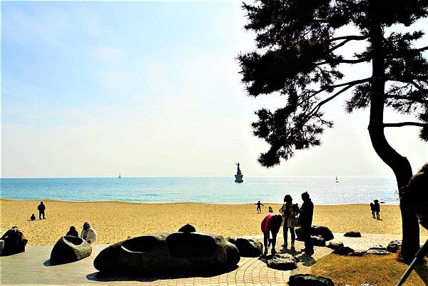 2019釜山 - 冬柏島◆世峰樓◆海雲台