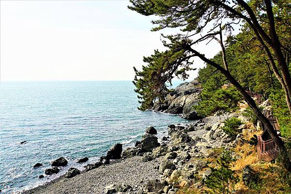 2019釜山 - 冬柏島◆世峰樓◆海雲台