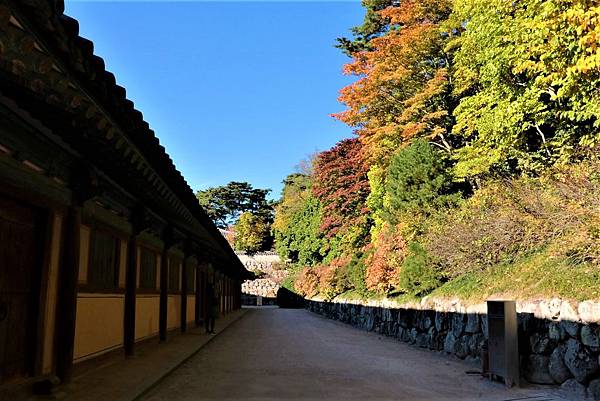 釜山之旅 - 慶州佛國寺경주불국사