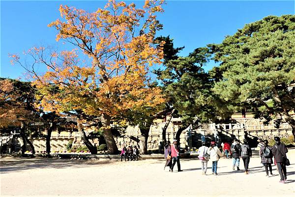 釜山之旅 - 慶州佛國寺경주불국사