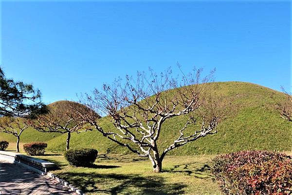 釜山之旅 - 慶州大陵苑(대릉원)【天馬塚】