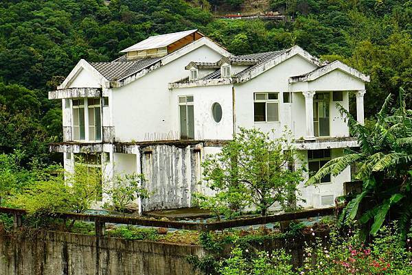 2019 淡水楓樹湖木蓮花