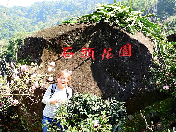 2021 淡水楓樹湖木蓮花