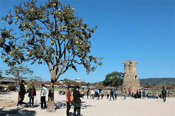 慶州 瞻星臺 (경주 첨성대) 慶州 瞻星臺 (경주 첨성대)