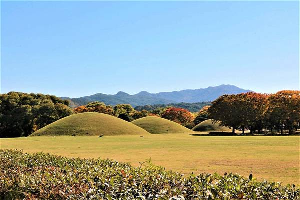 慶州 瞻星臺 (경주 첨성대) 慶州 瞻星臺 (경주 첨성대)