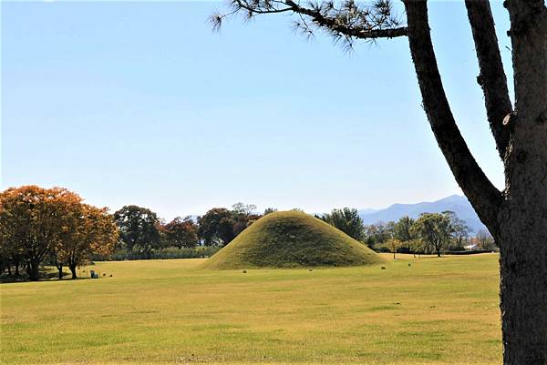 慶州 瞻星臺 (경주 첨성대) 慶州 瞻星臺 (경주 첨성대)