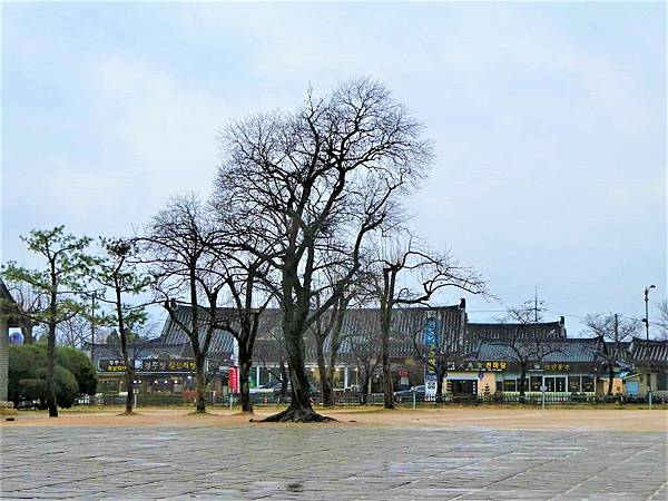 慶州 瞻星臺 (경주 첨성대) 慶州 瞻星臺 (경주 첨성대)