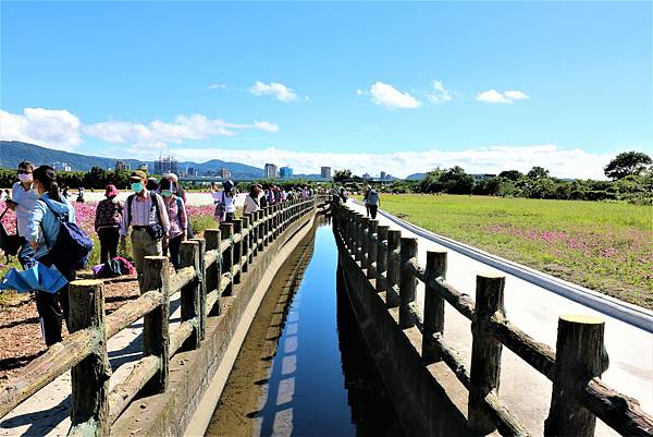 2022 關渡花海