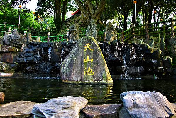 淡水無極天元宮 桜