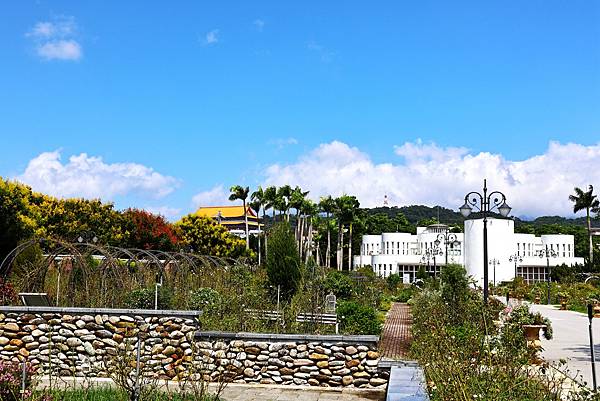 台北玫瑰園 台灣欒樹