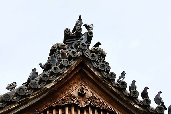 圓山花博 臨濟護國禪寺 圓山花博 臨濟護國禪寺