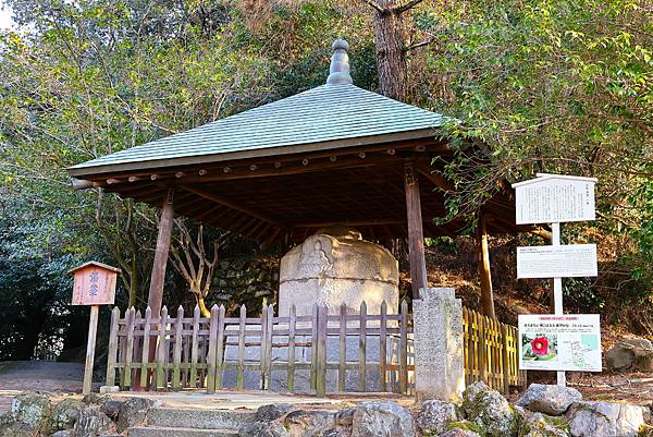 2025日本九州四國本州之旅 - 愛媛縣松山市 道後溫泉本館 2025日本九州四國本州之旅 - 愛媛縣松山市 道後溫泉本館