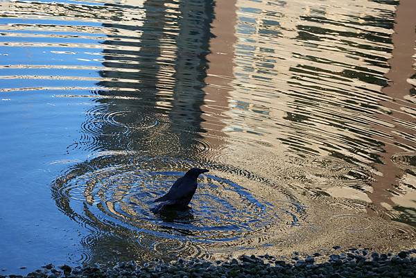 2025日本九州四國本州之旅 - 廣島縣廣島市 廣島和平紀念 2025日本九州四國本州之旅 - 廣島縣廣島市 原爆和平紀念