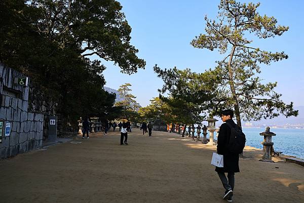 2025日本九州四國本州之旅 - 廣島縣宮島 嚴島神社