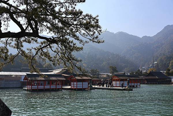 2025日本九州四國本州之旅 - 廣島縣宮島 嚴島神社