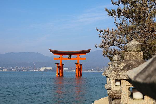 2025日本九州四國本州之旅 - 廣島縣宮島 嚴島神社