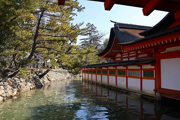 2025日本九州四國本州之旅 - 廣島縣宮島 嚴島神社