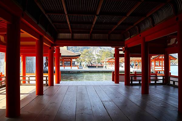 2025日本九州四國本州之旅 - 廣島縣宮島 嚴島神社